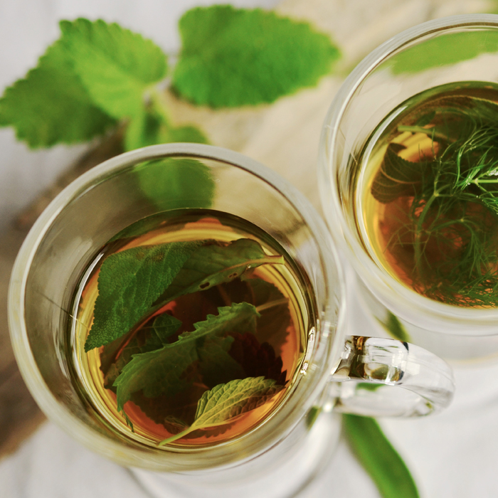 Normalitea - Tao Tea - The Way of Tea